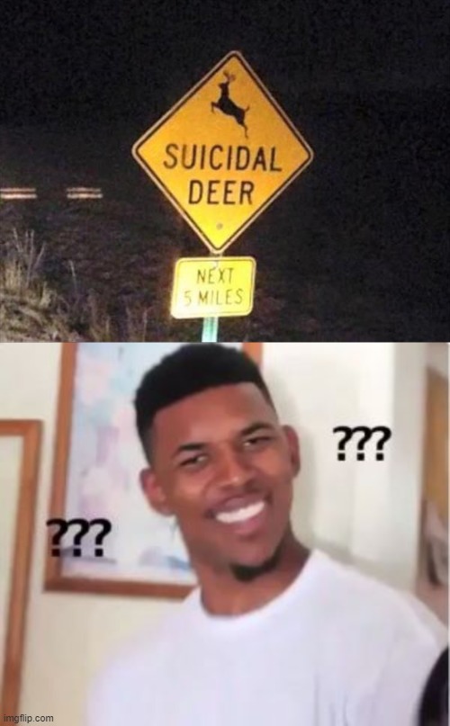 wait what | image tagged in nick young,memes | made w/ Imgflip meme maker