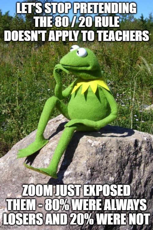 80 / 20 Rule Applies to Teachers Like Everyone Else | LET'S STOP PRETENDING THE 80 / 20 RULE DOESN'T APPLY TO TEACHERS; ZOOM JUST EXPOSED THEM - 80% WERE ALWAYS LOSERS AND 20% WERE NOT | image tagged in kermit-thinking | made w/ Imgflip meme maker