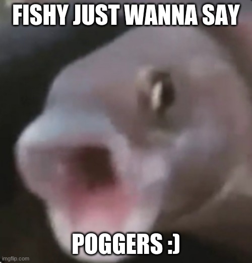 fishy pog :) | FISHY JUST WANNA SAY; POGGERS :) | image tagged in poggers fish,lol so funny | made w/ Imgflip meme maker