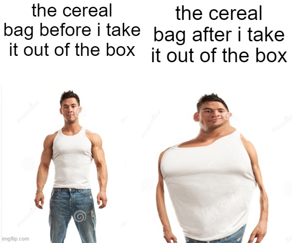 the cereal bags | the cereal bag before i take it out of the box; the cereal bag after i take it out of the box | image tagged in cereal,cereal bag,cereal box | made w/ Imgflip meme maker