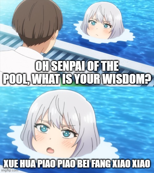 nope it's too late now | OH SENPAI OF THE POOL, WHAT IS YOUR WISDOM? XUE HUA PIAO PIAO BEI FANG XIAO XIAO | image tagged in senpai of the pool | made w/ Imgflip meme maker