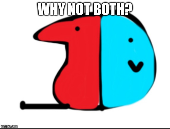 berd switch | WHY NOT BOTH? | image tagged in berd switch | made w/ Imgflip meme maker