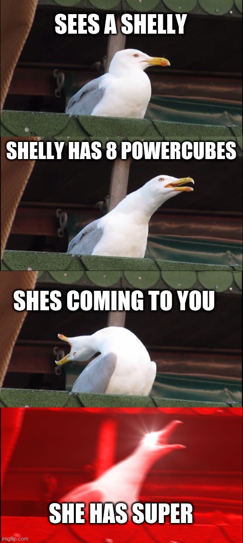 Inhaling Seagull | SEES A SHELLY; SHELLY HAS 8 POWERCUBES; SHES COMING TO YOU; SHE HAS SUPER | image tagged in memes,lol,low effort,brawl stars | made w/ Imgflip meme maker