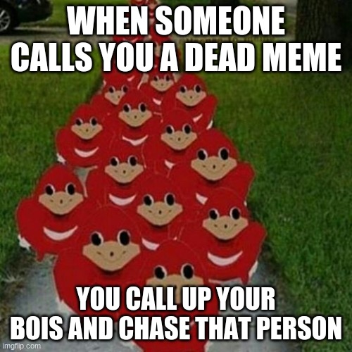 true |  WHEN SOMEONE CALLS YOU A DEAD MEME; YOU CALL UP YOUR BOIS AND CHASE THAT PERSON | image tagged in ugandan knuckles army | made w/ Imgflip meme maker