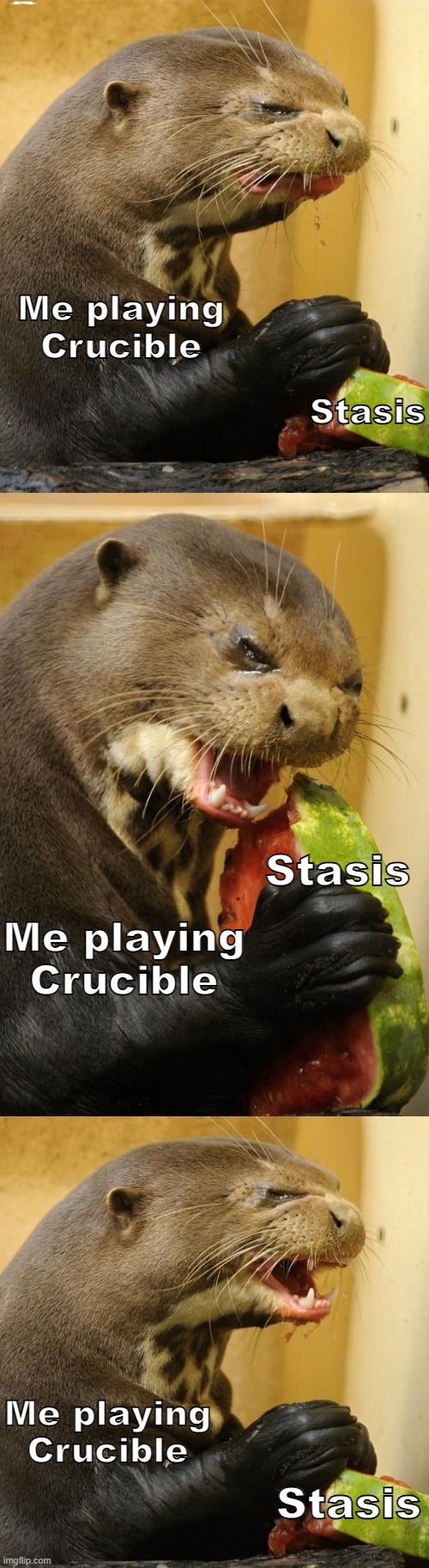 Current State Of Destiny 2 | Me playing Crucible; Stasis; Stasis; Me playing Crucible; Me playing Crucible; Stasis | image tagged in destiny 2,destiny,funny,funny memes,otters | made w/ Imgflip meme maker