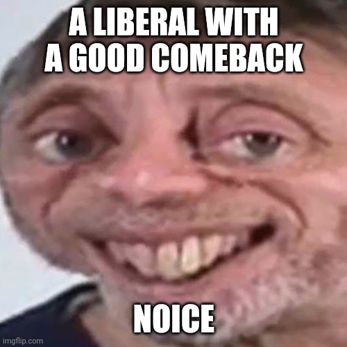 Noice | A LIBERAL WITH A GOOD COMEBACK NOICE | image tagged in noice | made w/ Imgflip meme maker