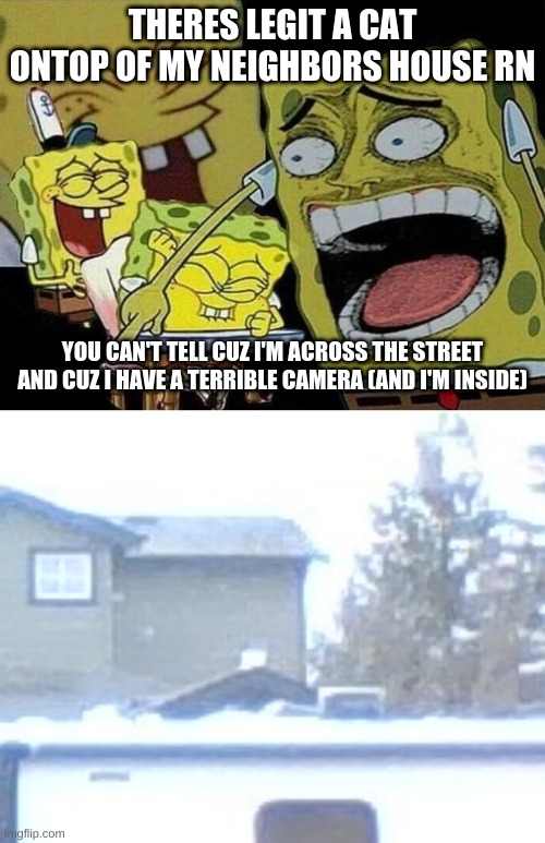 I'm not lying btw | THERES LEGIT A CAT ONTOP OF MY NEIGHBORS HOUSE RN; YOU CAN'T TELL CUZ I'M ACROSS THE STREET AND CUZ I HAVE A TERRIBLE CAMERA (AND I'M INSIDE) | image tagged in spongebob laughing hysterically | made w/ Imgflip meme maker
