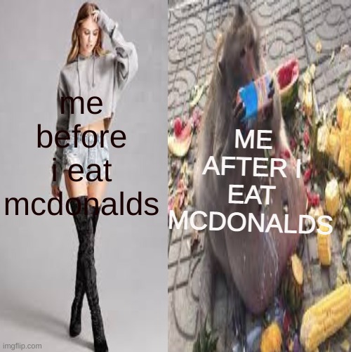 ME AFTER I EAT MCDONALDS; me before i eat mcdonalds | image tagged in memes | made w/ Imgflip meme maker