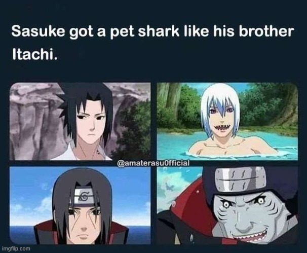 memes only naruto fans will find funny | image tagged in funny,memes,naruto shippuden | made w/ Imgflip meme maker