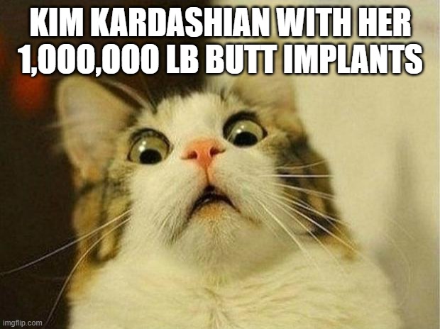 KIM KARDASHIAN WITH HER 1,OOO,OOO LB BUTT IMPLANTS | image tagged in memes,scared cat | made w/ Imgflip meme maker