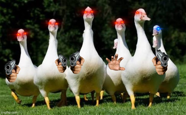 The Geese | image tagged in the geese | made w/ Imgflip meme maker