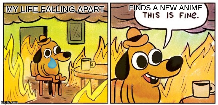 this was posted at 11 pm | FINDS A NEW ANIME; MY LIFE FALLING APART | image tagged in memes,this is fine | made w/ Imgflip meme maker