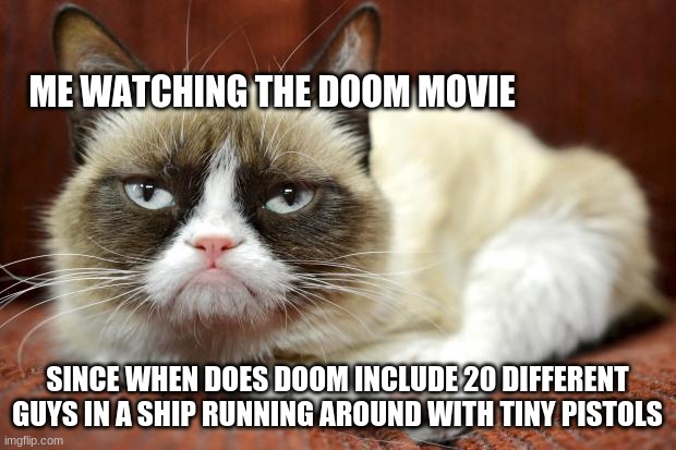 Grumpycat | ME WATCHING THE DOOM MOVIE; SINCE WHEN DOES DOOM INCLUDE 20 DIFFERENT GUYS IN A SHIP RUNNING AROUND WITH TINY PISTOLS | image tagged in grumpycat | made w/ Imgflip meme maker