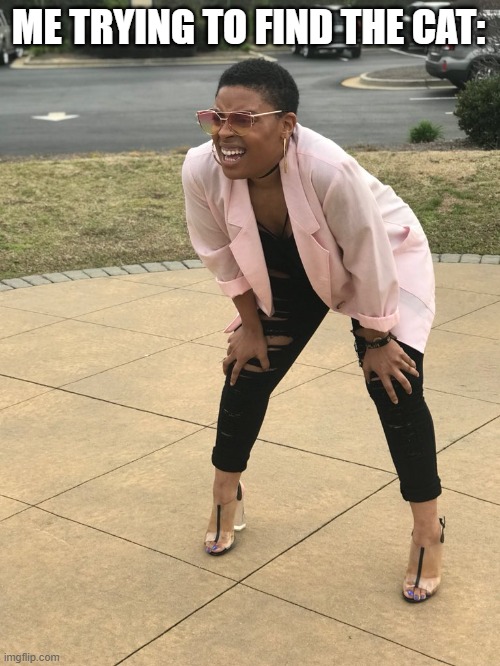 Black woman squinting | ME TRYING TO FIND THE CAT: | image tagged in black woman squinting | made w/ Imgflip meme maker