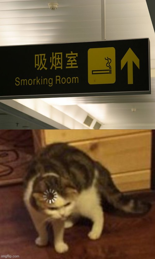 Don't you mean smoking room? | image tagged in loading cat,smoking,memes,you had one job,signs,bad grammar and spelling memes | made w/ Imgflip meme maker