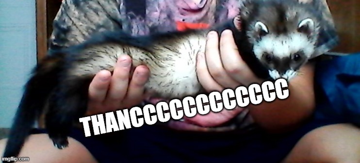 long ferret | THANCCCCCCCCCCCC | image tagged in long ferret | made w/ Imgflip meme maker