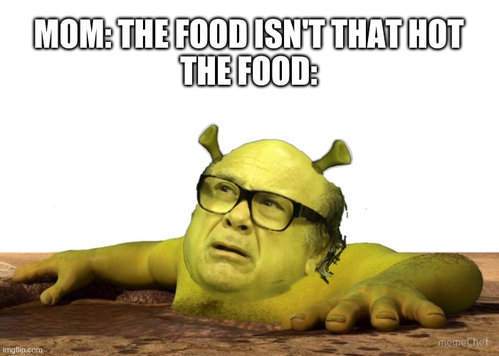 holy crap its danny devito shrek | MOM: THE FOOD ISN'T THAT HOT
THE FOOD: | image tagged in memes,funny,shrek,danny devito,food | made w/ Imgflip meme maker