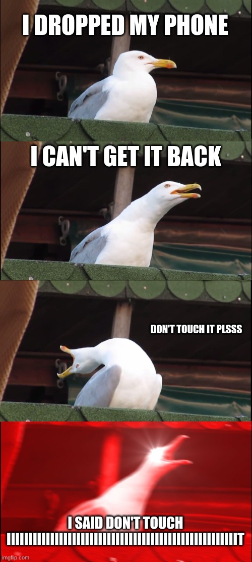 my phone | I DROPPED MY PHONE; I CAN'T GET IT BACK; DON'T TOUCH IT PLSSS; I SAID DON'T TOUCH IIIIIIIIIIIIIIIIIIIIIIIIIIIIIIIIIIIIIIIIIIIIIIIIIIIIIT | image tagged in memes,inhaling seagull | made w/ Imgflip meme maker