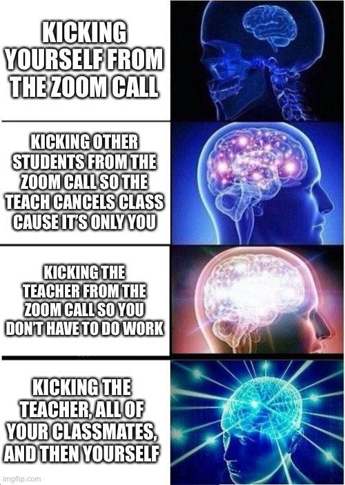 Ah yes kick-a-cide | KICKING YOURSELF FROM THE ZOOM CALL; KICKING OTHER STUDENTS FROM THE ZOOM CALL SO THE TEACH CANCELS CLASS CAUSE IT’S ONLY YOU; KICKING THE TEACHER FROM THE ZOOM CALL SO YOU DON’T HAVE TO DO WORK; KICKING THE TEACHER, ALL OF YOUR CLASSMATES, AND THEN YOURSELF | image tagged in memes,expanding brain,end,the,pain,god | made w/ Imgflip meme maker