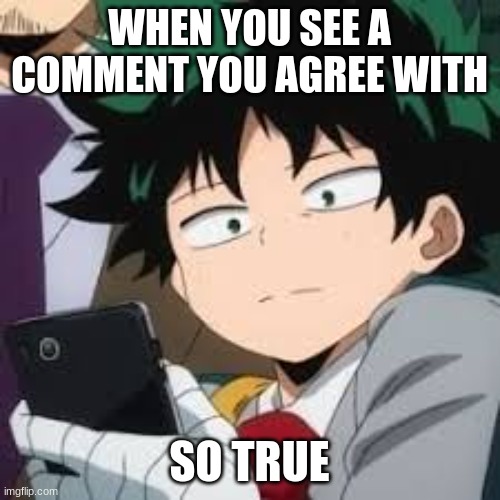 me x todoroki | WHEN YOU SEE A COMMENT YOU AGREE WITH; SO TRUE | image tagged in deku dissapointed | made w/ Imgflip meme maker