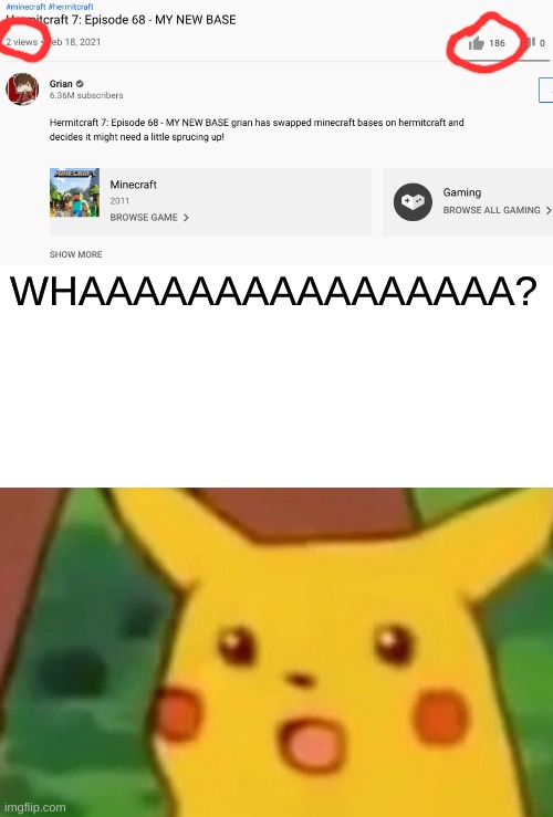 WHAAAAAAAAAAAAAAAA? | image tagged in memes,surprised pikachu,minecraft,youtube,confusing,hermitcraft | made w/ Imgflip meme maker