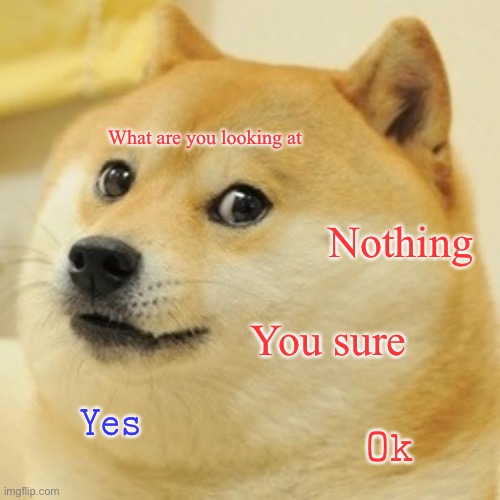 Doge | What are you looking at; Nothing; You sure; 𝚈𝚎𝚜; 𝙾𝚔 | image tagged in memes,doge | made w/ Imgflip meme maker