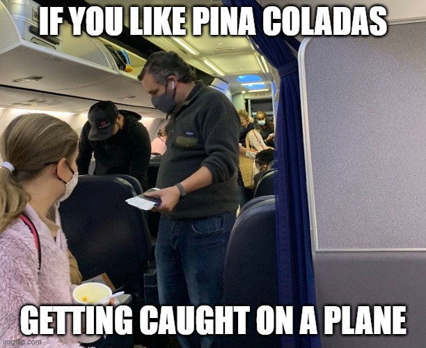 IF YOU LIKE PINA COLADAS; GETTING CAUGHT ON A PLANE | image tagged in ted cruz,texas | made w/ Imgflip meme maker