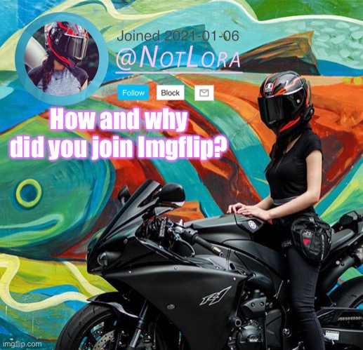 NotLora Temp | How and why did you join Imgflip? | image tagged in notlora temp | made w/ Imgflip meme maker