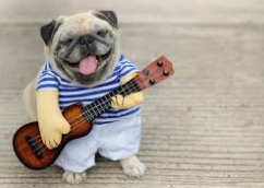 Doggo with Ukulele Blank Meme Template