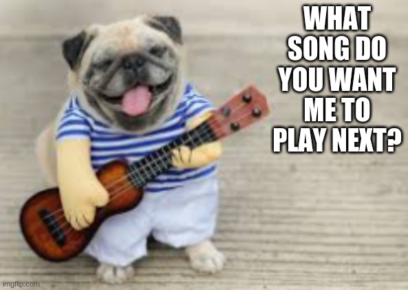 Doggo with Ukulele | WHAT SONG DO YOU WANT ME TO PLAY NEXT? | image tagged in doggo with ukulele,big doggo,so cute,look at this dude | made w/ Imgflip meme maker