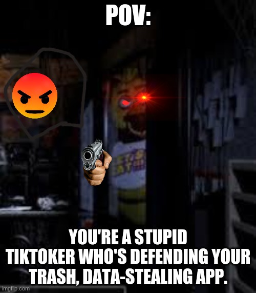 Tiktokers are LOW IQ! | POV:; YOU'RE A STUPID TIKTOKER WHO'S DEFENDING YOUR TRASH, DATA-STEALING APP. | image tagged in chica looking in window fnaf | made w/ Imgflip meme maker