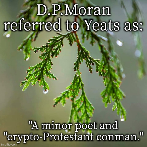 I thought Yeats was talking about someone else | D.P.Moran referred to Yeats as:; "A minor poet and "crypto-Protestant conman." | image tagged in cedar,writers | made w/ Imgflip meme maker