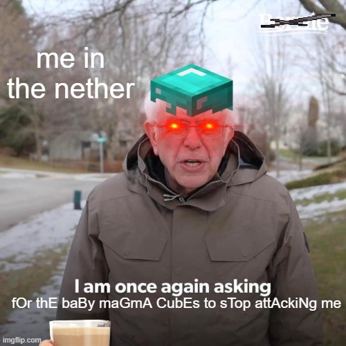 I hate the nether | me in the nether; fOr thE baBy maGmA CubEs to sTop attAckiNg me | image tagged in memes,bernie i am once again asking for your support | made w/ Imgflip meme maker