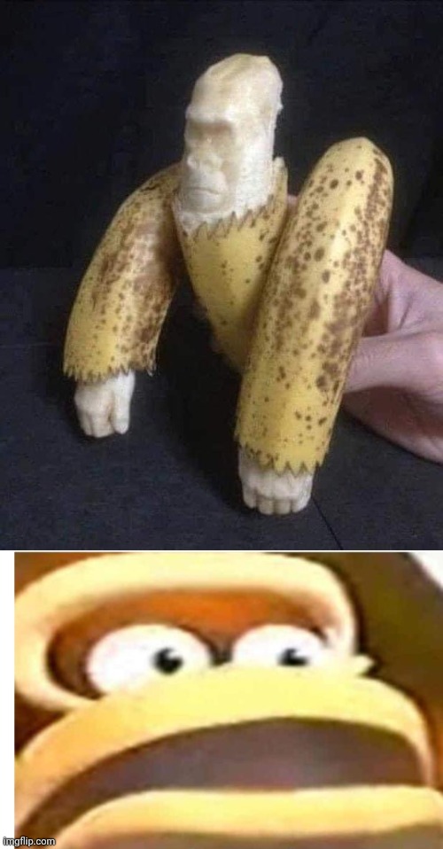 DONKEY KONG IN BANANA FORM? | image tagged in that wasn't part of my plan,donkey kong,banana | made w/ Imgflip meme maker