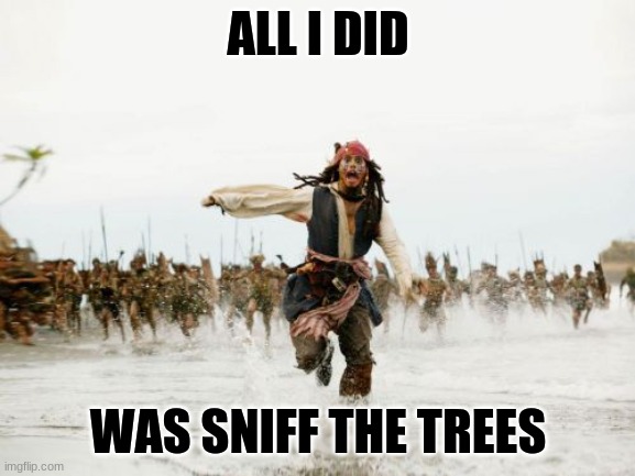 Jack... No | ALL I DID; WAS SNIFF THE TREES | image tagged in memes,jack sparrow being chased | made w/ Imgflip meme maker