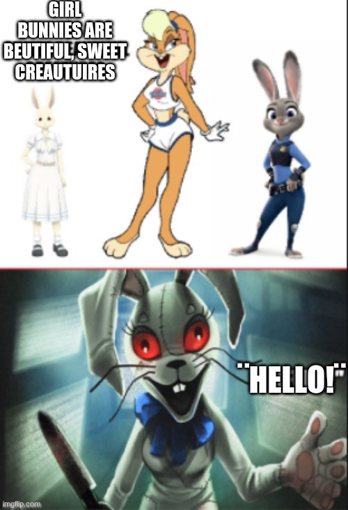 oof- | GIRL BUNNIES ARE BEUTIFUL, SWEET CREAUTUIRES; ¨HELLO!¨ | image tagged in fnaf | made w/ Imgflip meme maker