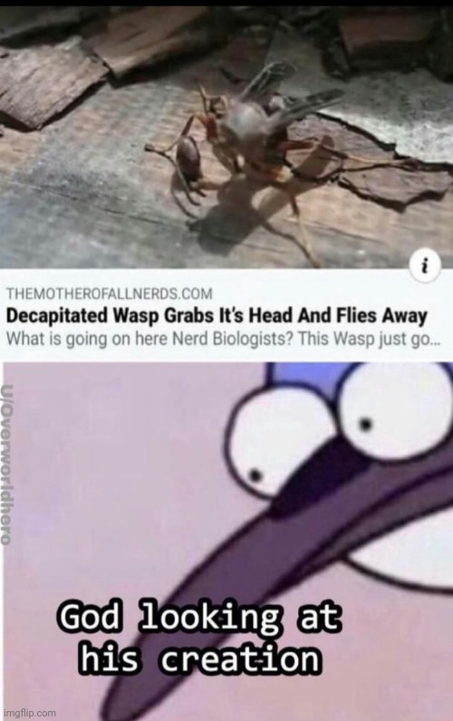 A thing... | image tagged in repost,decapitated,wtf,how,why,god | made w/ Imgflip meme maker