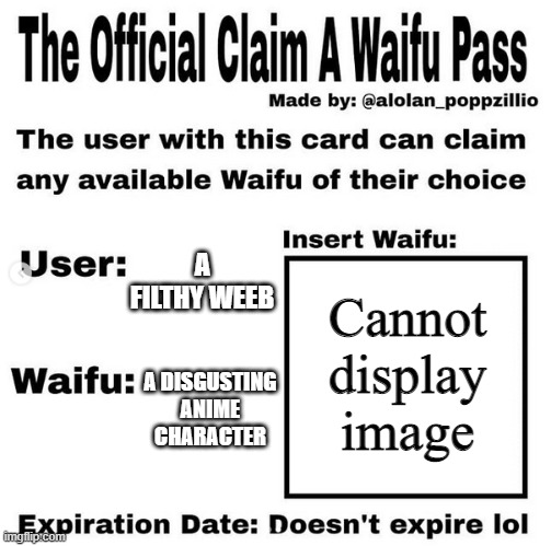 Haha what do u think | A FILTHY WEEB; Cannot display image; A DISGUSTING ANIME CHARACTER | image tagged in weebs,and,their,filthy,waifus,oh wow are you actually reading these tags | made w/ Imgflip meme maker