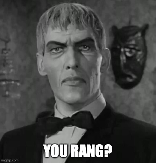 Lurch Adams Family | YOU RANG? | image tagged in lurch adams family | made w/ Imgflip meme maker