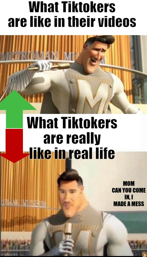 Fax tho | What Tiktokers are like in their videos; What Tiktokers are really like in real life; MOM CAN YOU COME IN, I MADE A MESS | image tagged in markiplier metroman reaction meme | made w/ Imgflip meme maker