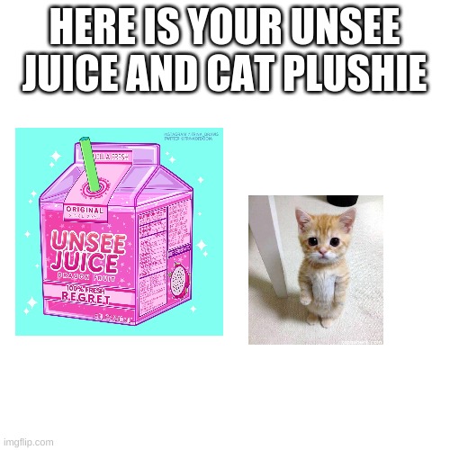Blank Transparent Square Meme | HERE IS YOUR UNSEE JUICE AND CAT PLUSHIE | image tagged in memes,blank transparent square | made w/ Imgflip meme maker