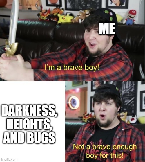 im a brave boy |  ME; DARKNESS, HEIGHTS, AND BUGS | image tagged in im a brave boy | made w/ Imgflip meme maker
