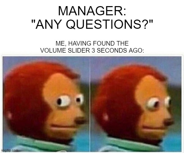 Adventures in Home Office | MANAGER:
"ANY QUESTIONS?"; ME, HAVING FOUND THE
VOLUME SLIDER 3 SECONDS AGO: | image tagged in memes,monkey puppet,meeting,zoom | made w/ Imgflip meme maker