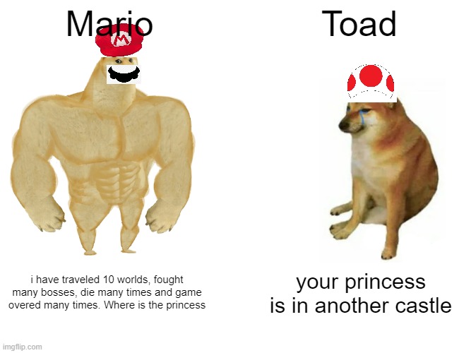 Your princess is in another castle lol | Mario; Toad; i have traveled 10 worlds, fought many bosses, die many times and game overed many times. Where is the princess; your princess is in another castle | image tagged in memes,buff doge vs cheems | made w/ Imgflip meme maker