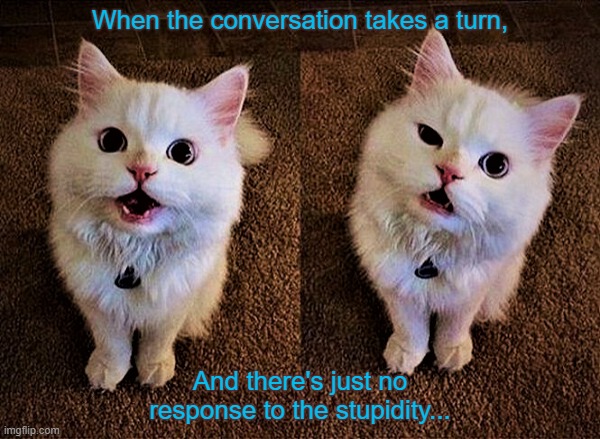 Just no response to the stupidity... | When the conversation takes a turn, And there's just no response to the stupidity... | image tagged in stunned | made w/ Imgflip meme maker