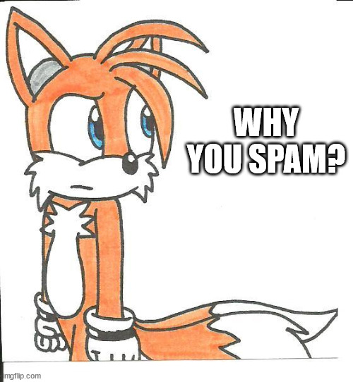 WHY YOU SPAM? | made w/ Imgflip meme maker