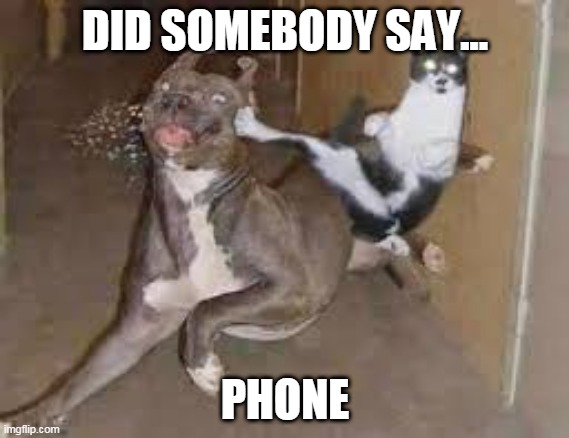 did some one say ____???? |  DID SOMEBODY SAY... PHONE | image tagged in did some one say ____,phone | made w/ Imgflip meme maker
