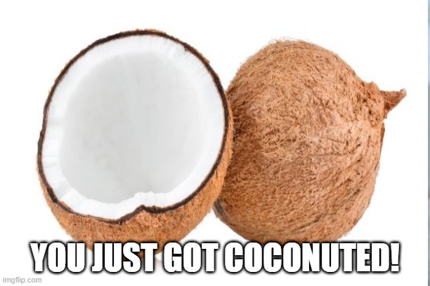 YOU JUST GOT COCONUTED! LOL | YOU JUST GOT COCONUTED! | image tagged in coconuted | made w/ Imgflip meme maker