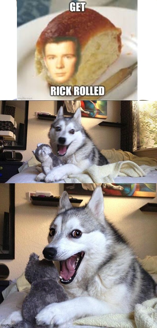 Get rick LOLed | image tagged in memes,bad pun dog,get rick rolled | made w/ Imgflip meme maker
