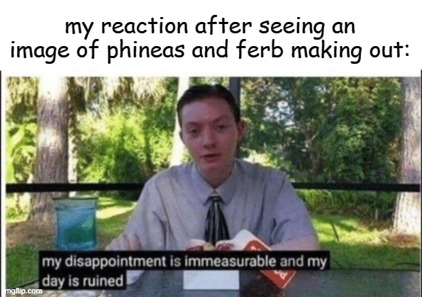 my entire childhood is gone lmao | my reaction after seeing an image of phineas and ferb making out: | image tagged in my dissapointment is immeasurable and my day is ruined | made w/ Imgflip meme maker